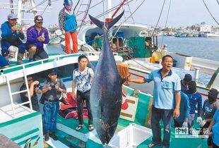 台海吃瓜渔民图片真实,渔民视角下的两岸关系瞬间