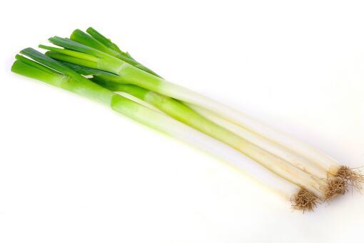 枣庄头条大葱价格走势,实时走势解析与市场动态