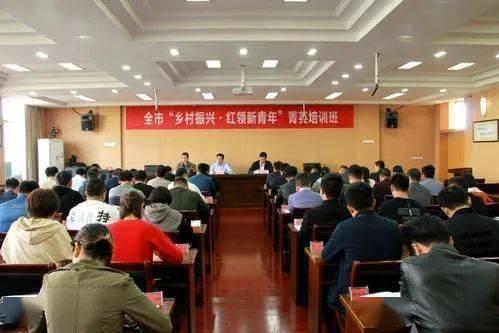 金华市培育网红企业,金华市助力网红企业蓬勃发展