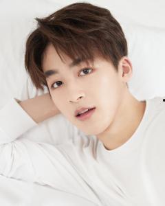 何洛洛算是几线明星,跨越一线界限的璀璨新星