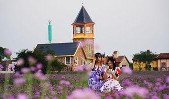 万宁网红小镇图片,打卡新宠，风情万种的海岛魅力