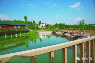 广元龙潭子头条,聚焦龙潭子最新动态，探寻广元魅力所在