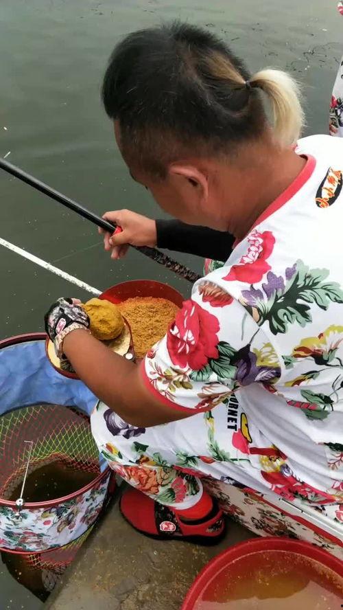 鲫瓜老师视频全集,揭秘水产养殖的奥秘与技巧