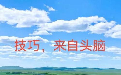 每天发布100个微头条,100个微头条汇聚社会热点与生活点滴