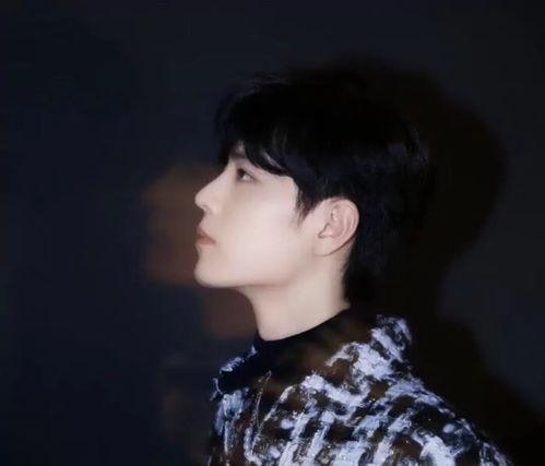 吃瓜男星晚会在线观看免费,揭秘吃瓜男星晚会精彩瞬间