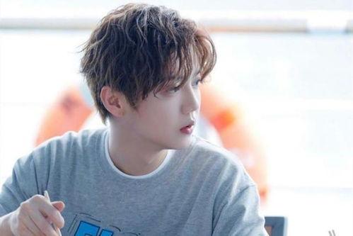 最近娱乐爆料鹿晗,娱乐圈再掀波澜