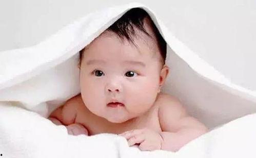 宝宝可以吃瓢瓜吗,瓢瓜的营养与适宜食用指南