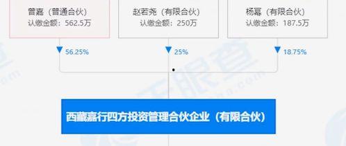 明星资本运作,揭秘娱乐圈财富增值的秘密
