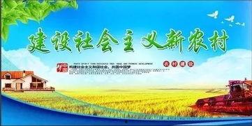 河源今日头条新农村,乡村振兴下的美丽蝶变记