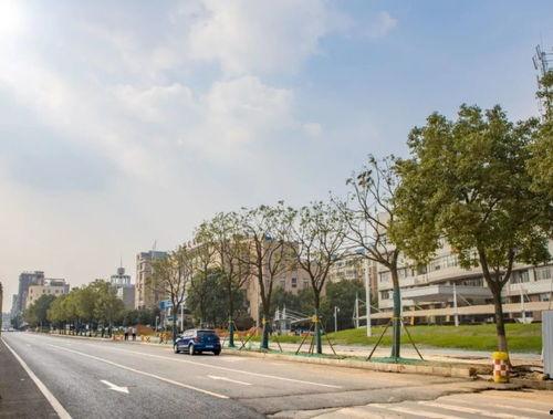 隆安市网红路图片全景,全景映照下的城市新地标