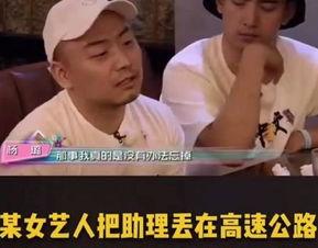 睡演员明星的小说,睡演员明星的奇幻人生