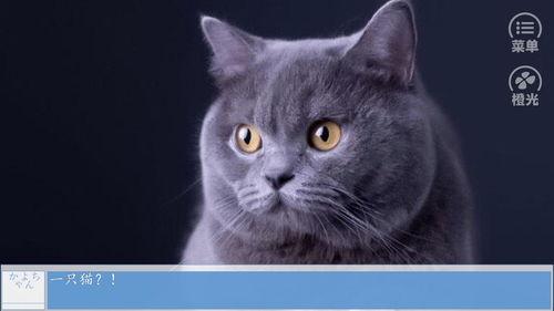 热点爆料蓝猫视频,揭秘网络热点背后的故事