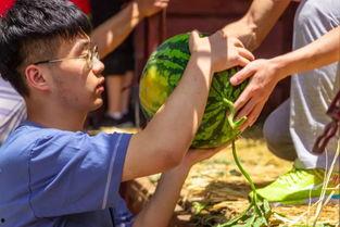 大学时吃瓜视频,那些年我们一起吃瓜的欢乐岁月