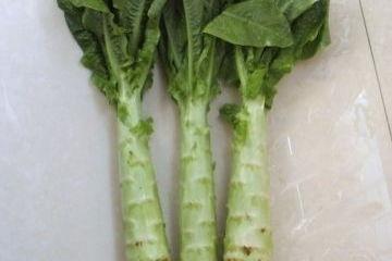 莴笋网红吃法图片,莴笋创意吃法，视觉与味蕾的双重盛宴